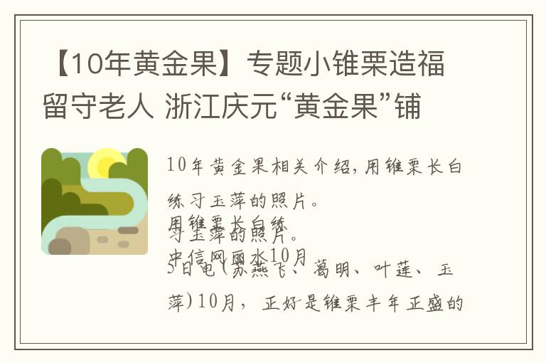 【10年黃金果】專題小錐栗造福留守老人 浙江慶元“黃金果”鋪就共富路