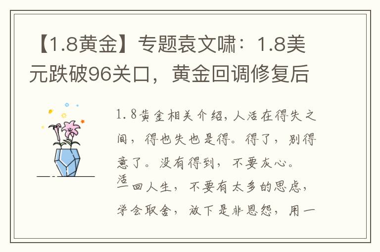 【1.8黃金】專題袁文嘯：1.8美元跌破96關(guān)口，黃金回調(diào)修復(fù)后看多不變