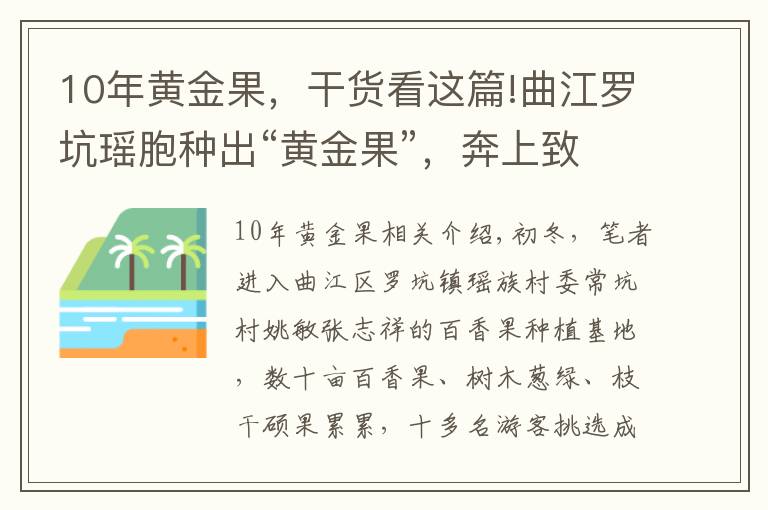 10年黃金果，干貨看這篇!曲江羅坑瑤胞種出“黃金果”，奔上致富路