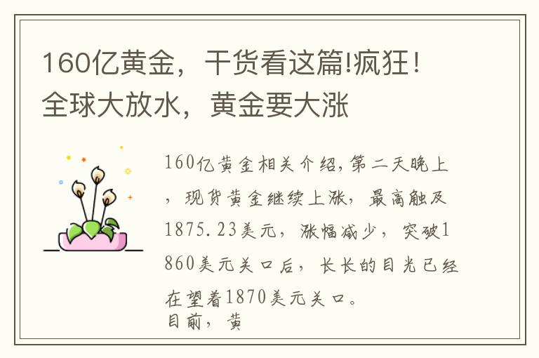 160億黃金，干貨看這篇!瘋狂！全球大放水，黃金要大漲