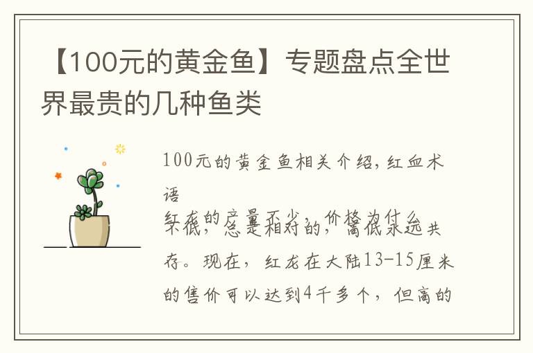 【100元的黃金魚】專題盤點全世界最貴的幾種魚類