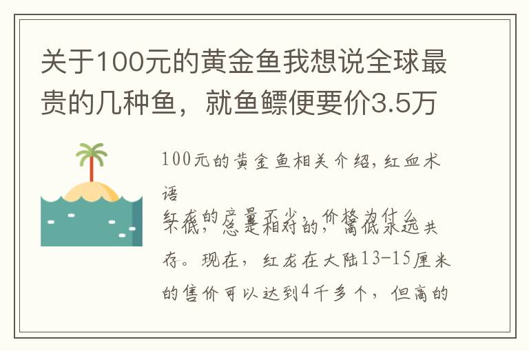 關(guān)于100元的黃金魚我想說全球最貴的幾種魚，就魚鰾便要價3.5萬左右