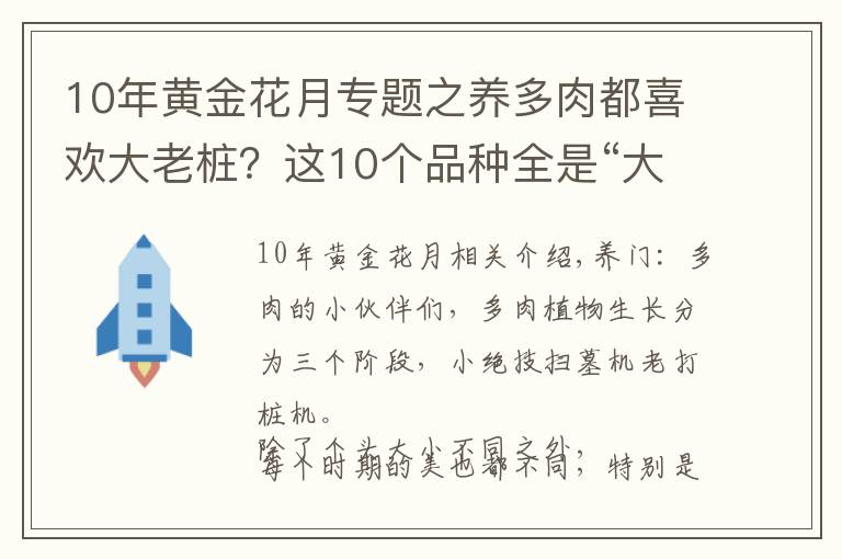 10年黃金花月專題之養(yǎng)多肉都喜歡大老樁？這10個(gè)品種全是“大粗腿”，越養(yǎng)越好看！