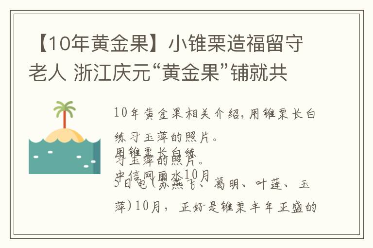 【10年黃金果】小錐栗造福留守老人 浙江慶元“黃金果”鋪就共富路