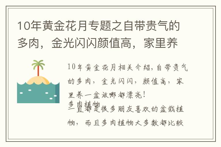 10年黃金花月專題之自帶貴氣的多肉，金光閃閃顏值高，家里養(yǎng)一盆，放哪都漂亮