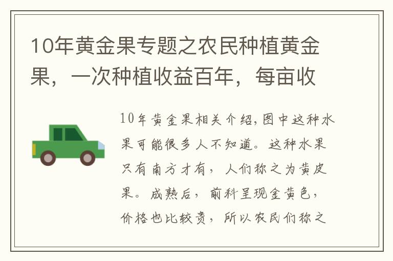 10年黃金果專題之農(nóng)民種植黃金果，一次種植收益百年，每畝收入高達25000元！