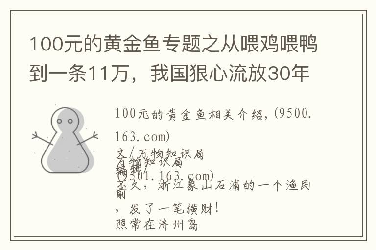 100元的黃金魚(yú)專(zhuān)題之從喂雞喂鴨到一條11萬(wàn)，我國(guó)狠心流放30年，為何還救不起一條魚(yú)？