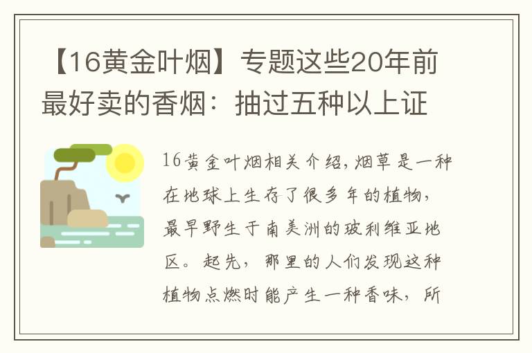 【16黃金葉煙】專題這些20年前最好賣的香煙：抽過五種以上證明你不在年輕了！