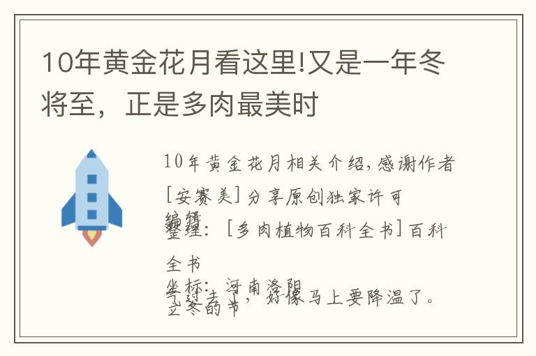 10年黃金花月看這里!又是一年冬將至，正是多肉最美時(shí)