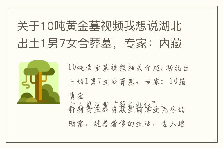 關(guān)于10噸黃金墓視頻我想說湖北出土1男7女合葬墓，專家：內(nèi)藏10箱黃金