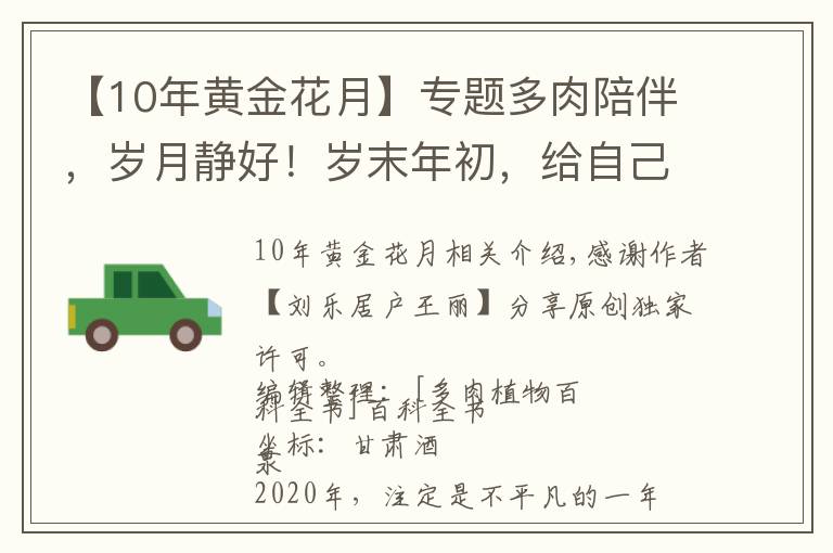 【10年黃金花月】專題多肉陪伴，歲月靜好！歲末年初，給自己加油