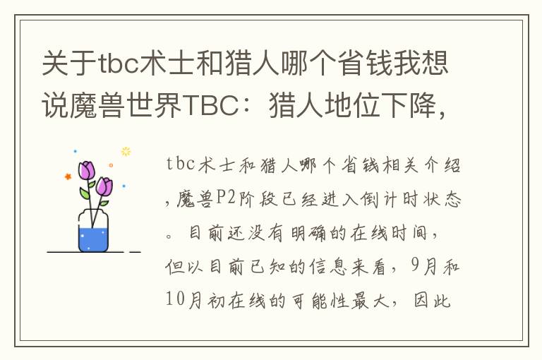 關于tbc術士和獵人哪個省錢我想說魔獸世界TBC：獵人地位下降，術士稱王，P2職業(yè)該如何選擇？