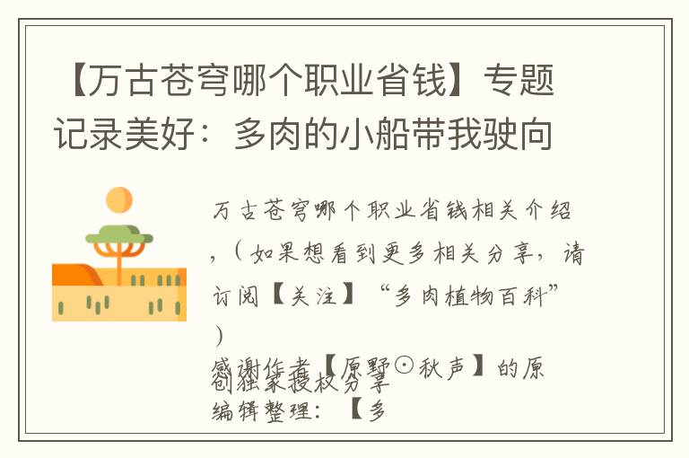 【萬(wàn)古蒼穹哪個(gè)職業(yè)省錢(qián)】專(zhuān)題記錄美好：多肉的小船帶我駛向我心中的詩(shī)和遠(yuǎn)方