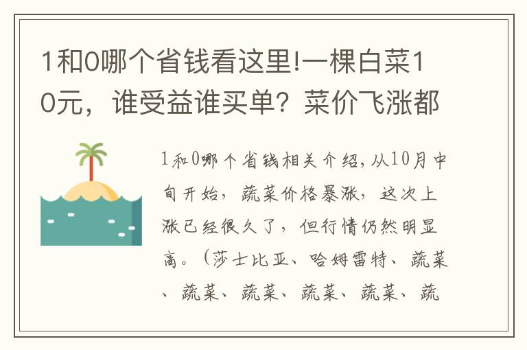 1和0哪個(gè)省錢看這里!一棵白菜10元，誰受益誰買單？菜價(jià)飛漲都怪二道販子？別誤解了