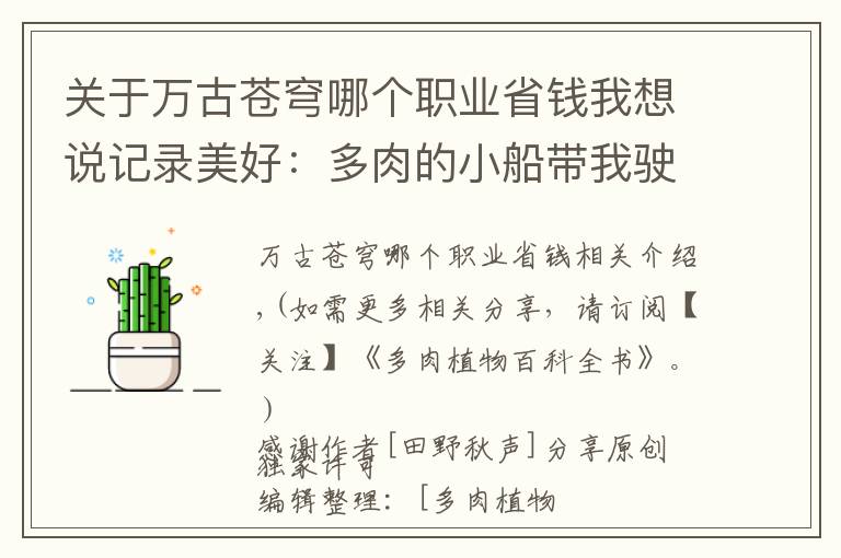 關(guān)于萬古蒼穹哪個(gè)職業(yè)省錢我想說記錄美好：多肉的小船帶我駛向我心中的詩和遠(yuǎn)方