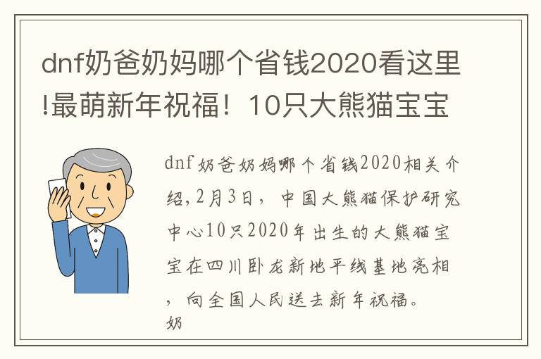 dnf奶爸奶媽哪個(gè)省錢2020看這里!最萌新年祝福！10只大熊貓寶寶向全國(guó)人民“拜年”