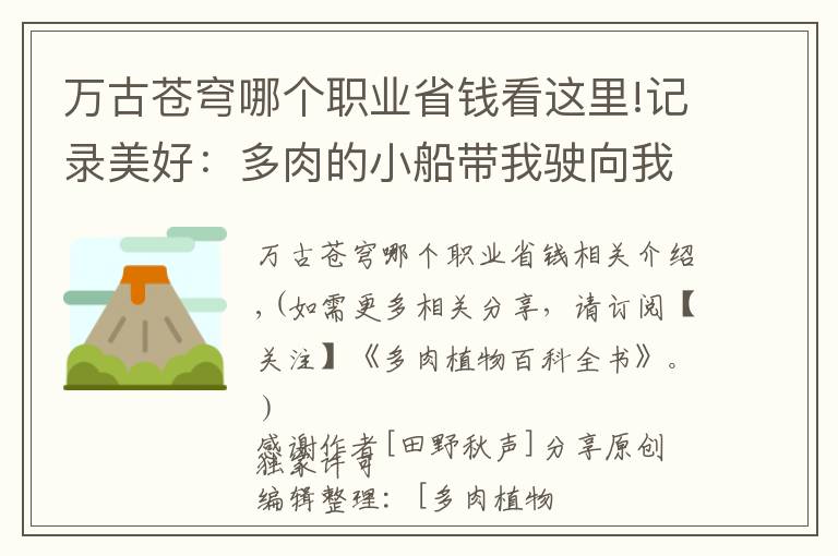 萬古蒼穹哪個(gè)職業(yè)省錢看這里!記錄美好：多肉的小船帶我駛向我心中的詩和遠(yuǎn)方