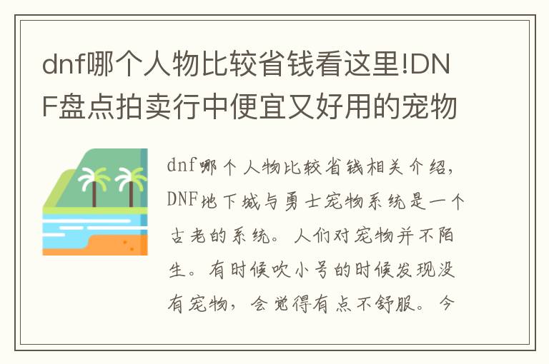 dnf哪個(gè)人物比較省錢看這里!DNF盤點(diǎn)拍賣行中便宜又好用的寵物！