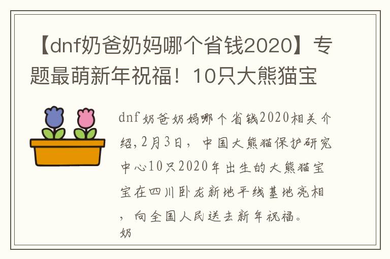 【dnf奶爸奶媽哪個省錢2020】專題最萌新年祝福！10只大熊貓寶寶向全國人民“拜年”