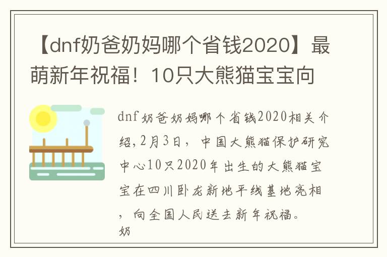 【dnf奶爸奶媽哪個省錢2020】最萌新年祝福！10只大熊貓寶寶向全國人民“拜年”