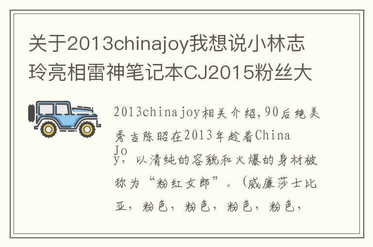 關(guān)于2013chinajoy我想說小林志玲亮相雷神筆記本CJ2015粉絲大會