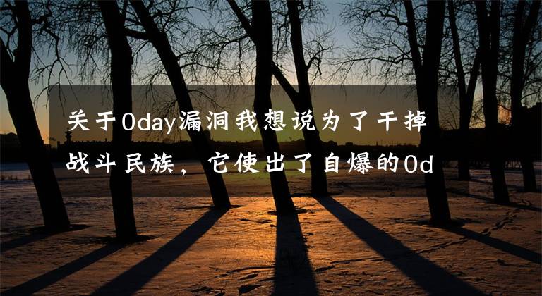 關(guān)于0day漏洞我想說為了干掉戰(zhàn)斗民族，它使出了自爆的0day漏洞