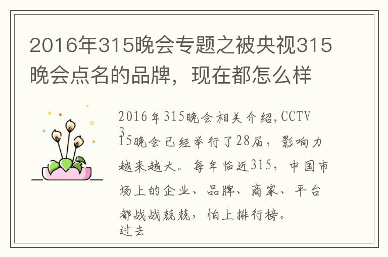 2016年315晚會專題之被央視315晚會點(diǎn)名的品牌，現(xiàn)在都怎么樣了？