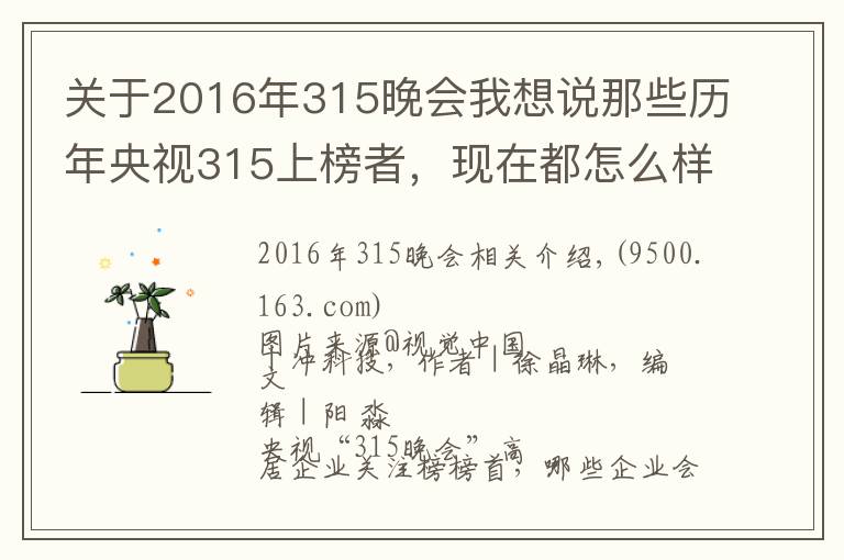 關(guān)于2016年315晚會我想說那些歷年央視315上榜者，現(xiàn)在都怎么樣了？