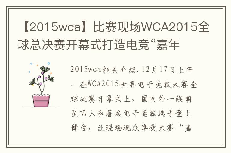 【2015wca】比賽現(xiàn)場(chǎng)WCA2015全球總決賽開幕式打造電競(jìng)“嘉年華”