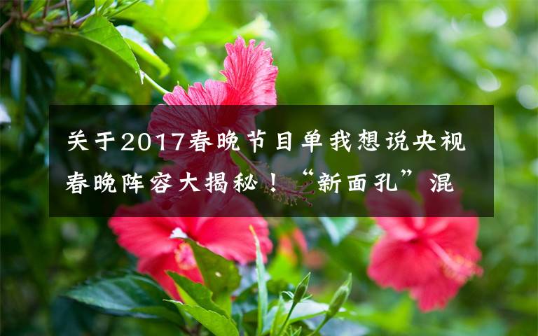 關(guān)于2017春晚節(jié)目單我想說央視春晚陣容大揭秘！“新面孔”混搭“故人”，懷舊兼顧創(chuàng)新