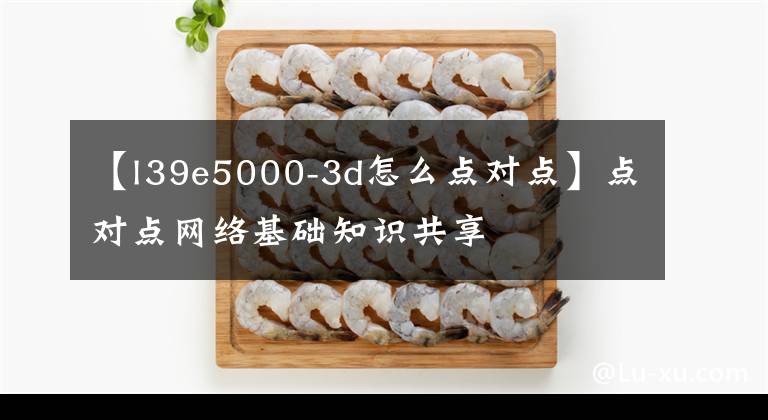 【l39e5000-3d怎么點(diǎn)對點(diǎn)】點(diǎn)對點(diǎn)網(wǎng)絡(luò)基礎(chǔ)知識共享