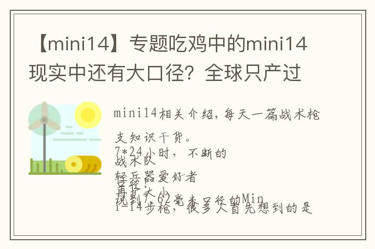 【mini14】專題吃雞中的mini14現(xiàn)實(shí)中還有大口徑？全球只產(chǎn)過一百支！