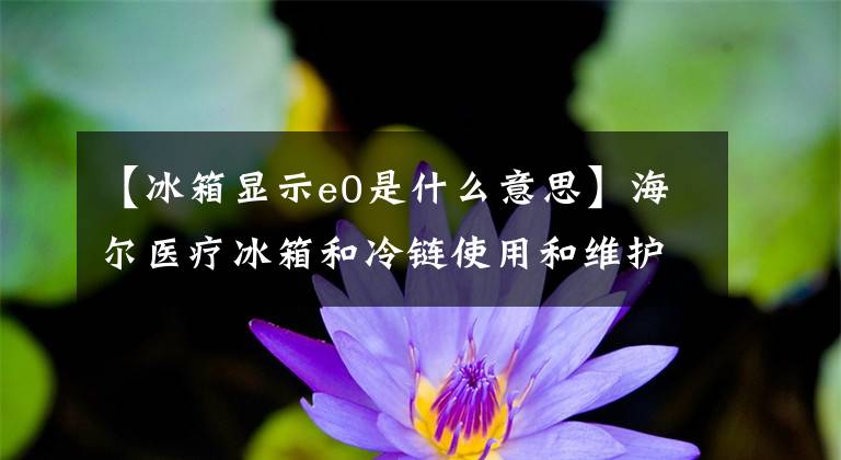 【冰箱顯示e0是什么意思】海爾醫(yī)療冰箱和冷鏈?zhǔn)褂煤途S護(hù)培訓(xùn)