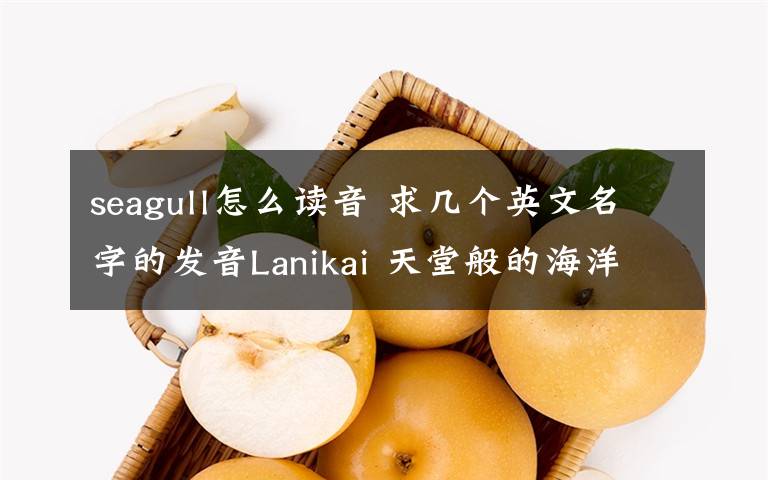 seagull怎么讀音 求幾個(gè)英文名字的發(fā)音Lanikai 天堂般的海洋（夏威夷）Laraine 海鳥（拉丁語）Larina 海鷗（拉丁語）Ly