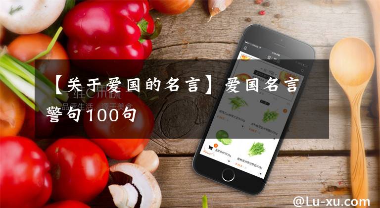 【關(guān)于愛國的名言】愛國名言警句100句