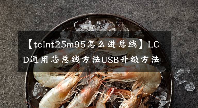 【tclnt25m95怎么進(jìn)總線】LCD通用芯總線方法USB升級(jí)方法及技術(shù)改造摘要《內(nèi)部培訓(xùn)資料》。