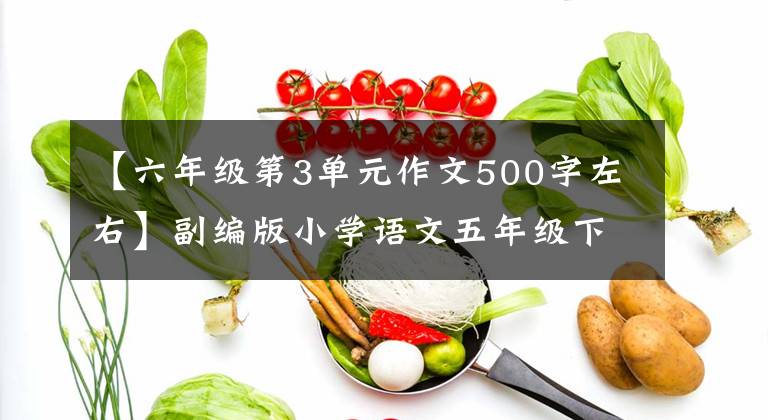 【六年級(jí)第3單元作文500字左右】副編版小學(xué)語(yǔ)文五年級(jí)下冊(cè)單元習(xí)作例句及評(píng)論