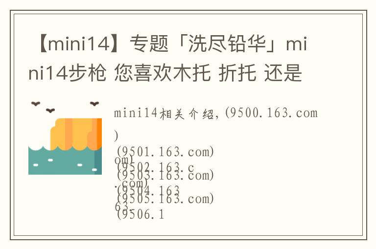 【mini14】專題「洗盡鉛華」mini14步槍 您喜歡木托 折托 還是改造版