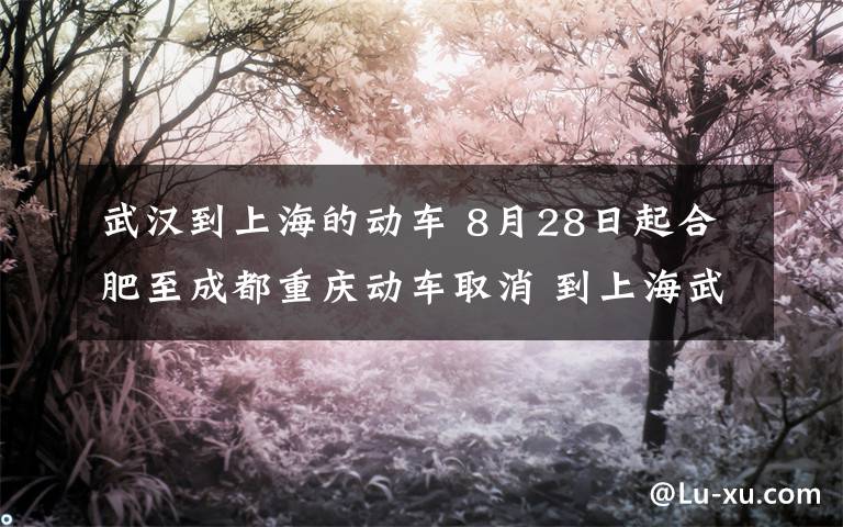 武漢到上海的動車 8月28日起合肥至成都重慶動車取消 到上海武漢動車減少