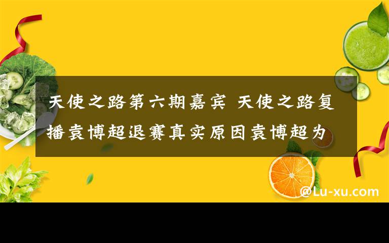 天使之路第六期嘉賓 天使之路復(fù)播袁博超退賽真實(shí)原因袁博超為什么退賽 陸瑤挺近三強(qiáng)冠軍是誰