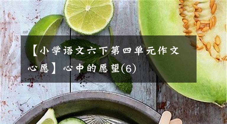 【小學(xué)語(yǔ)文六下第四單元作文心愿】心中的愿望(6)