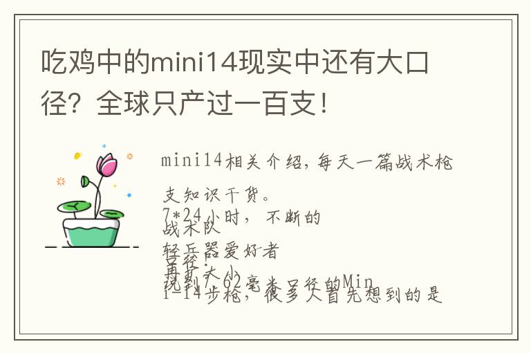 吃雞中的mini14現(xiàn)實(shí)中還有大口徑？全球只產(chǎn)過一百支！