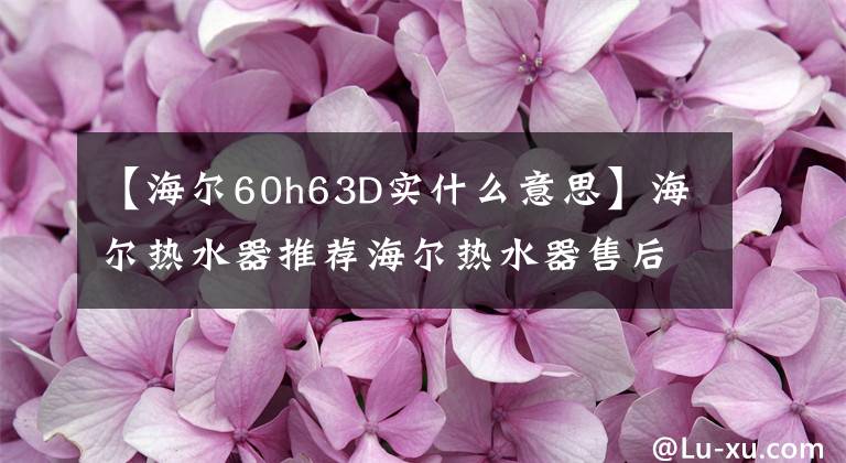 【海爾60h63D實(shí)什么意思】海爾熱水器推薦海爾熱水器售后服務(wù)怎么樣？