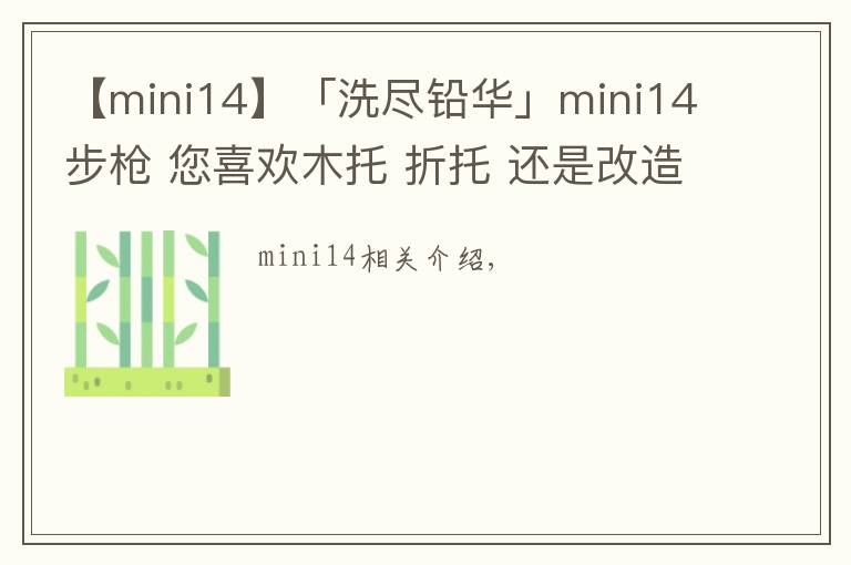 【mini14】「洗盡鉛華」mini14步槍 您喜歡木托 折托 還是改造版