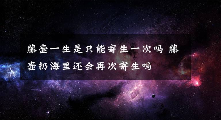 藤壺一生是只能寄生一次嗎 藤壺扔海里還會(huì)再次寄生嗎