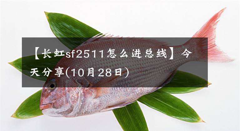 【長虹sf2511怎么進總線】今天分享(10月28日)