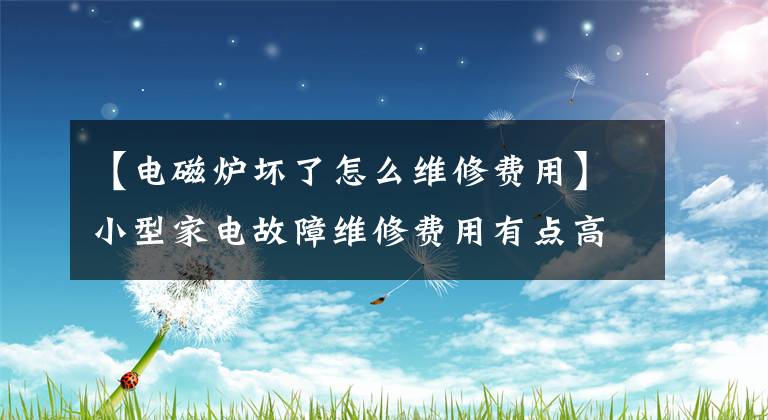 【電磁爐壞了怎么維修費用】小型家電故障維修費用有點高