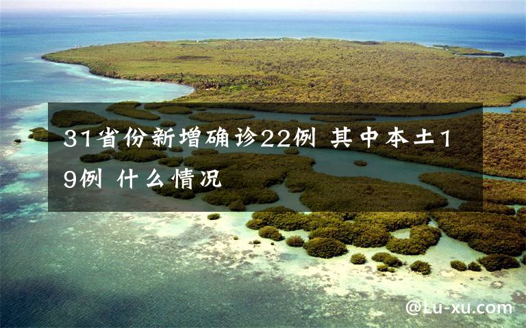 31省份新增確診22例 其中本土19例 什么情況