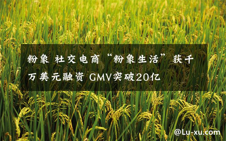 粉象 社交電商“粉象生活”獲千萬(wàn)美元融資 GMV突破20億