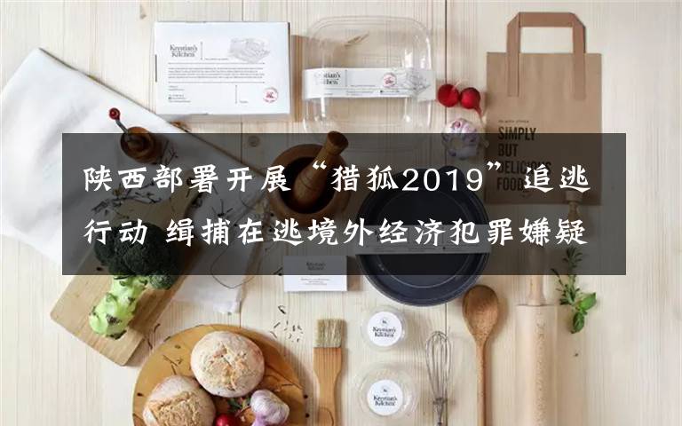 陜西部署開展“獵狐2019”追逃行動 緝捕在逃境外經(jīng)濟犯罪嫌疑人